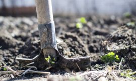 Quels équipements pour entretenir son jardin ?